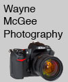 <Wayne McGee Photography link>
