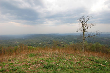DSC_0030